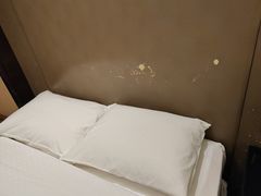 -廊坊固安福朋喜来登酒店