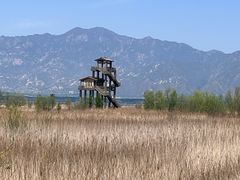 -野鸭湖国家湿地公园