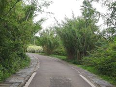 -白鹭湾湿地公园