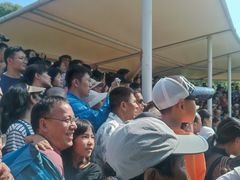 -白洋淀景区