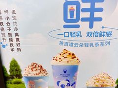 -茶百道(龙阳广场店)