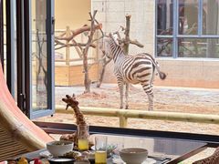 -灵玲国际马戏城