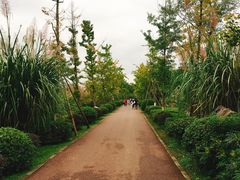 -白鹭湾湿地公园