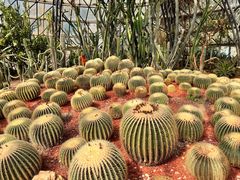 -昆明市金殿名胜区