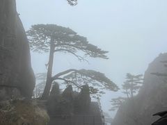 -黄山风景区