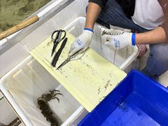 -七的湖·江南蟹舫·阳澄湖农家菜(蟹舫苑店)