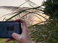 -成都中医药大学(温江校区)