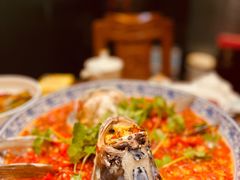 湘潭九龙鱼头-湘潭九龙鱼头店(城南西路店)