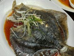 清蒸多宝鱼-万柳阁小馆·花园餐厅(龙潭湖店)