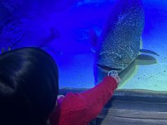 -沈阳海洋探索中心