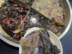 纯鲜毛肚-储奇门鳝鱼火锅(总店)