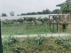 -洪湖家庭农场·团建·露营·会议