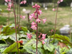 -罍+村(半边街店)