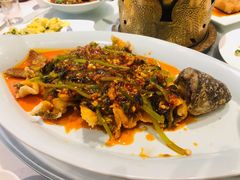 -院8里·少城记忆老川菜(宽窄巷子店)