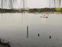 -昆山城市生态森林公园