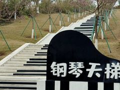 -盈香心动乐园