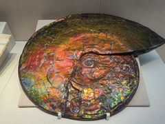 -国家自然博物馆