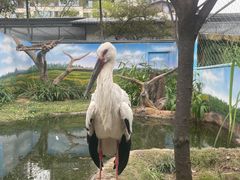 -成都动物园