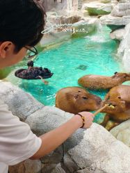 -Zoolung Zoolung动物主题公园(海信广场店)