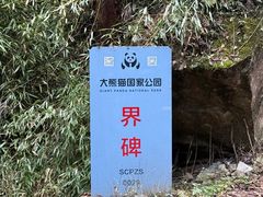 -九峰山