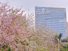 -文华公园(禅城区)