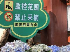 -广州白江湖森林公园