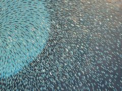 -湖北美术学院(昙华林校区)