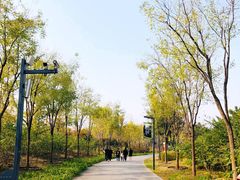 -东郊湿地公园