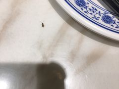 -百年恒益烧腊海鲜酒家·非遗传承(广州黄埔店)