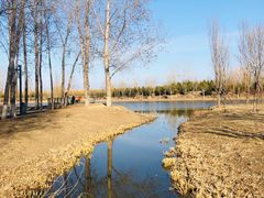 -东郊湿地公园