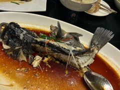 清蒸石斑鱼-万盛合(渔人码头店)