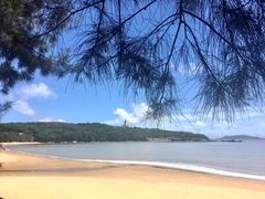 -普陀山风景名胜区-千步大沙