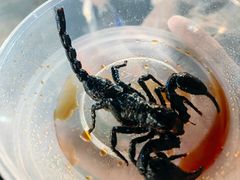 -席娜卡琳火车铁道夜市