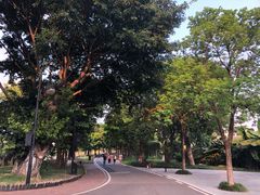 -海珠湖公园