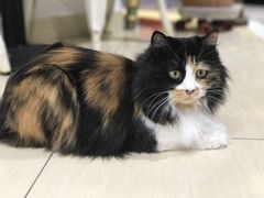 -小时光咖啡馆(开森度假森林店)