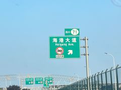-南汇新城海滩