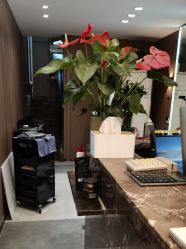 -SA MI hair salon烫染沙龙