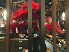 -湊湊火锅·茶憩(东城万达店)