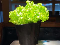 -九田家黑牛烤肉料理(新辰里亚运村店)