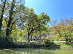 -苏州上方山国家森林公园