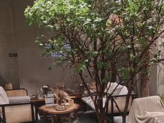 -森SPA·泰式按摩·精油Massage(宝安中心店)