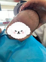 -慧婴轩婴儿理胎发胎毛笔胎毛画手足印(通州店)