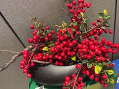 -山海经·海边人家 海鲜新青岛菜(扬州路店)