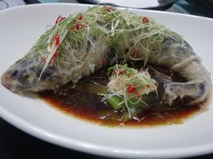 -松云泽