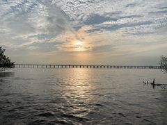 -宝安西湾红树林湿地公园