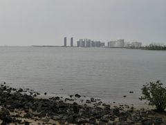 -万绿园