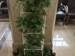 -九重天大饭店(北大街店)