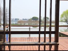 -贡湖湾湿地公园