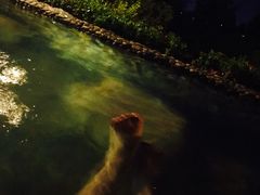 -天目湖涵田半山温泉