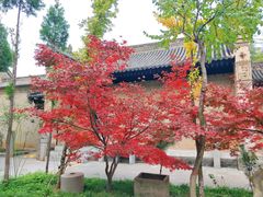-西安关中民俗艺术博物院